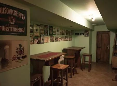 Hotel Victor Praga