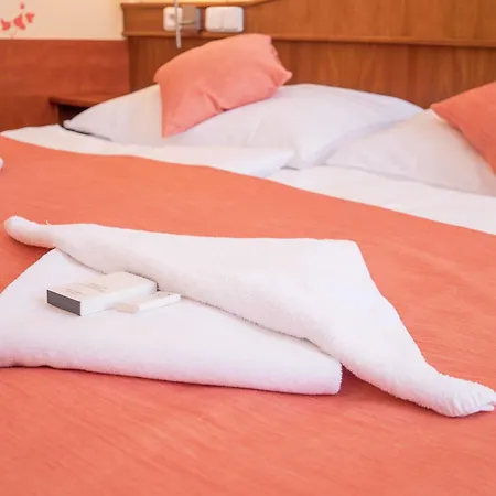 Hotel Alton 3*