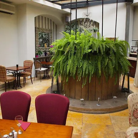 安提克布拉格酒店 布拉格