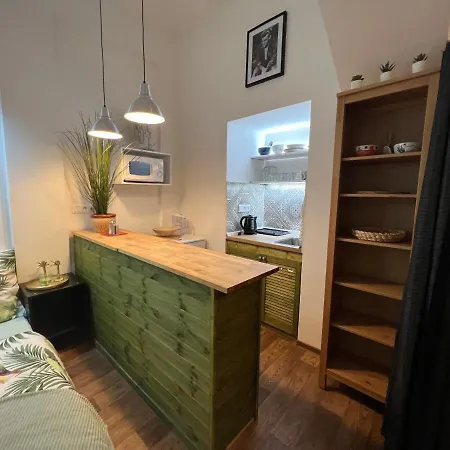 Apartment Fun Tiki Vibe / Charles Bridge / Netflix *