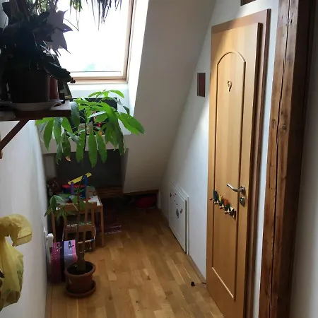Apartament Double Storey Loft In Family Vila Near City Center *