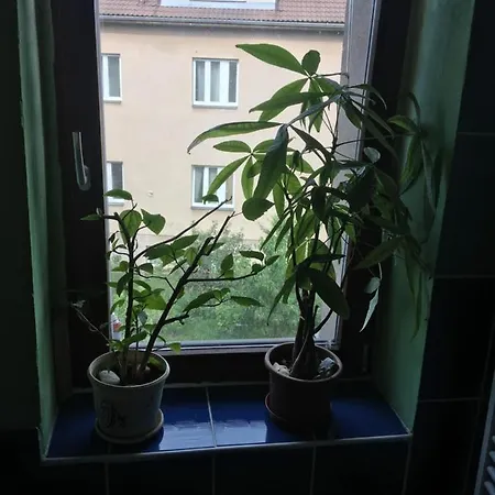 Double Storey Loft In Family Vila Near City Center Praga