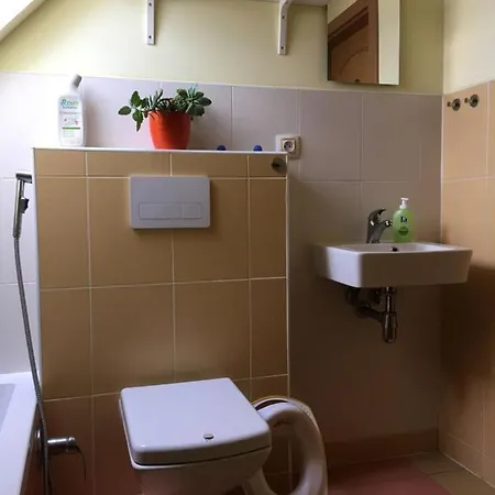 Apartament Double Storey Loft In Family Vila Near City Center