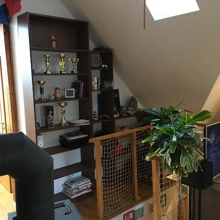 Apartament Double Storey Loft In Family Vila Near City Center