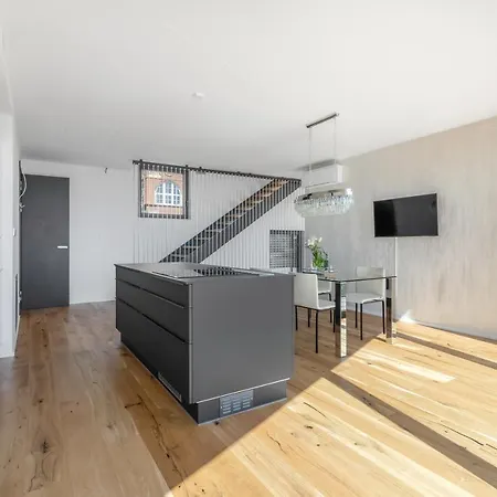 Luxury Penthouse Прага