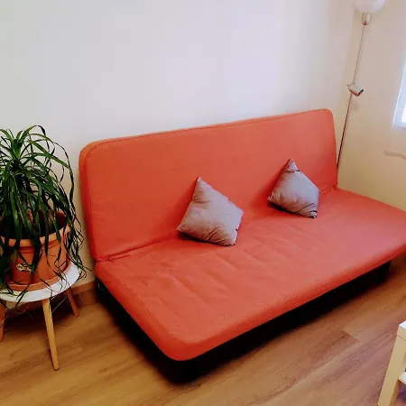 Coral Apartment