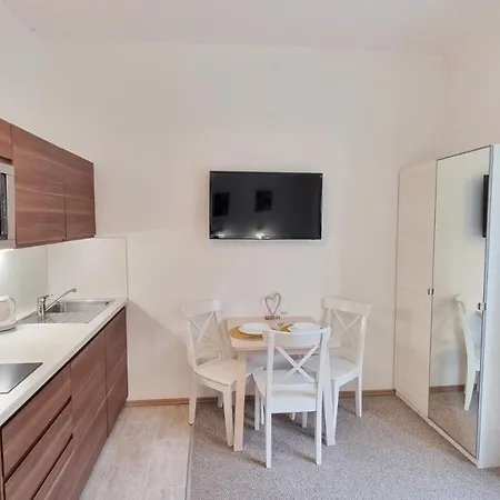 Finnem Zikova Apartment *