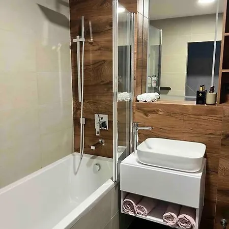 Luxury Pearl With Parking Place In Holesovice Prague