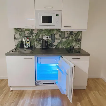 Appartement Helen New Chain Florenc Praag