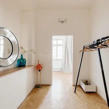 Apartment Curiosity