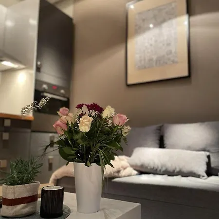 Luxury Beautiful Spacious In Perfect Location Apartment Prague