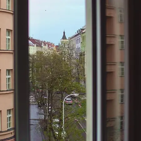 Luxury Beautiful Spacious In Perfect Location Apartment