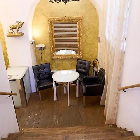 Hotel U Zlateho Jelena 4*