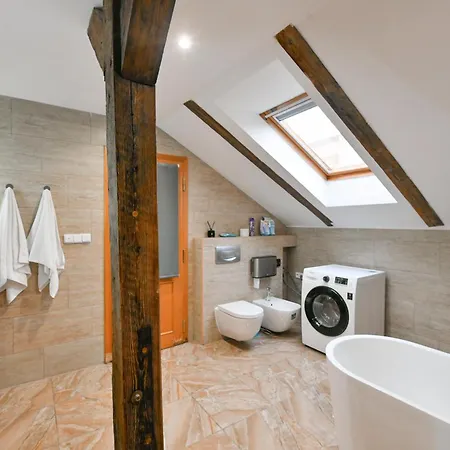 Amazing Charles Bridge Apartment