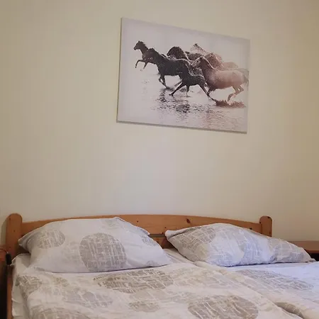 Patanka Guest house Prague