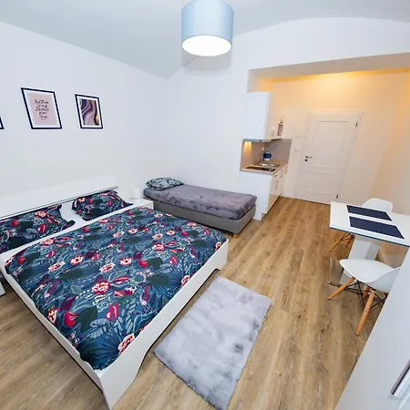 Petrska Apartment