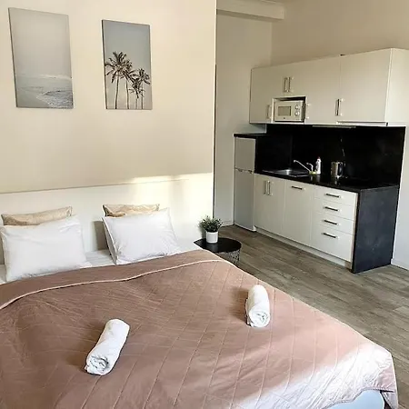 Parkside In Vinohrady Apartment Prague
