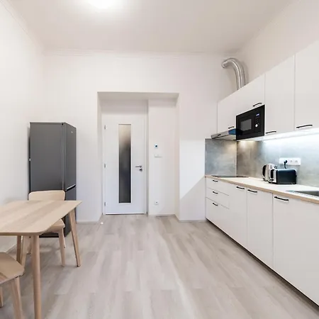 Borivojova 63 Apartament *