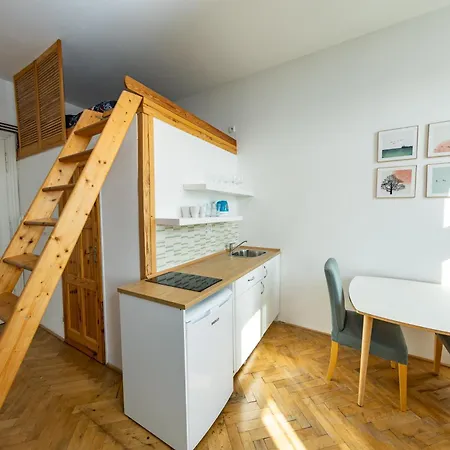 Apartment Petrinska *