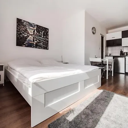 Floor With Terrace Apartment Prague
