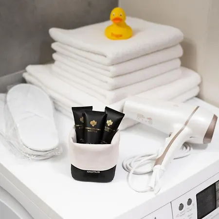 Luxury & Air-conditioned Osko Near The Center Apartment