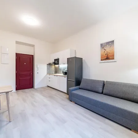 Borivojova 63 Apartament Praga