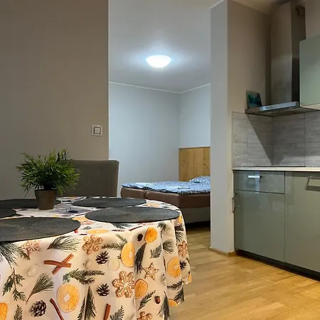 إن ريزيدانس غاردين تاورز * براغ