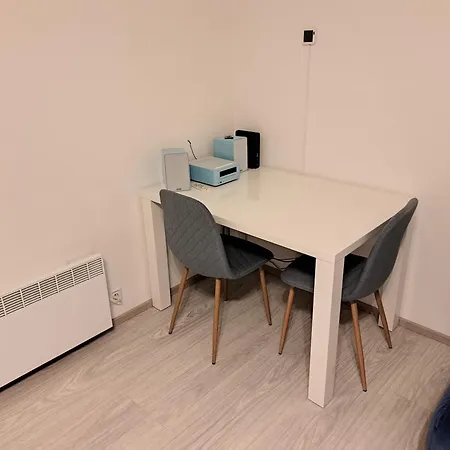 Flat Near The Vysehrad Castle