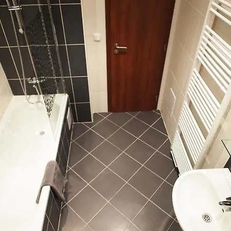 Andel Tomaskova Apartment *