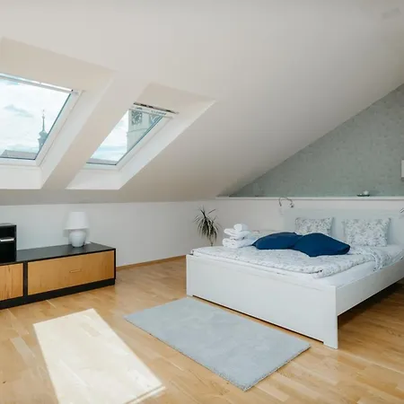 Eli Spacious With Old Town View, Parking & Ac Apartment