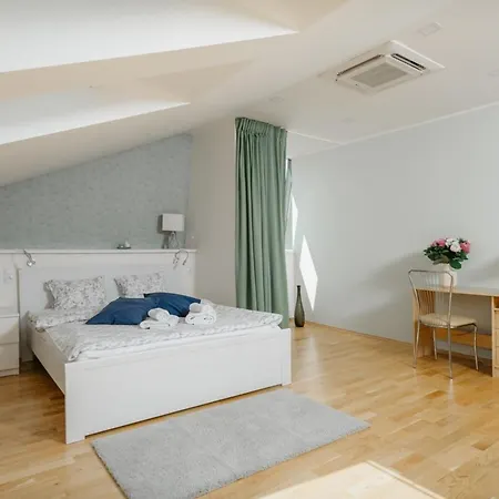 Eli Spacious With Old Town View, Parking & Ac Apartment