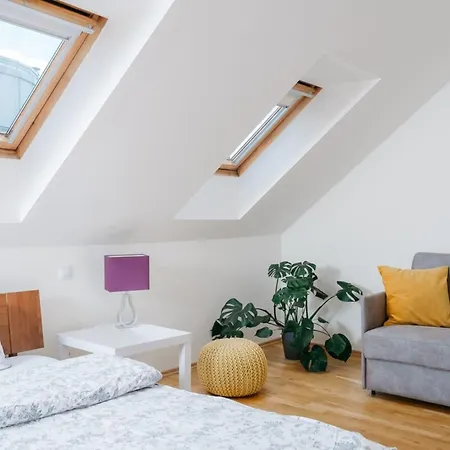 Eli Spacious With Old Town View, Parking & Ac Apartment Prague