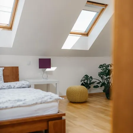 Eli Spacious With Old Town View, Parking & Ac Apartment Prague