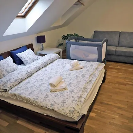 Eli Spacious With Old Town View, Parking & Ac Apartment