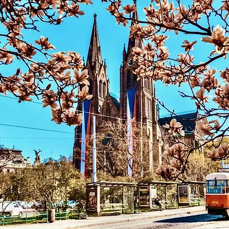 Apartmán Loft Jecna 43, Praha