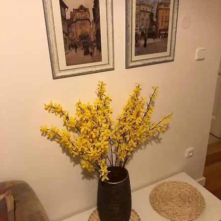 Apartment Janlouis