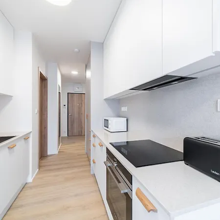 Apartment Mozaika