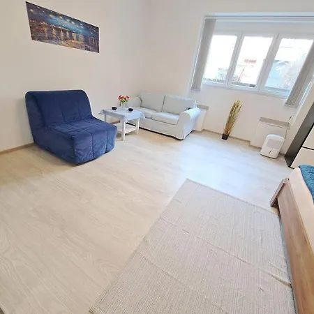 Flat Near The Vysehrad Castle *