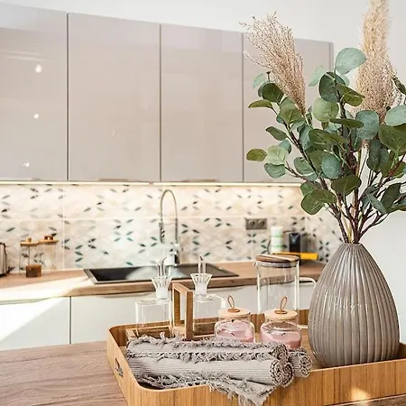 Luxurious 3 Bedroom In The Old Town Prague