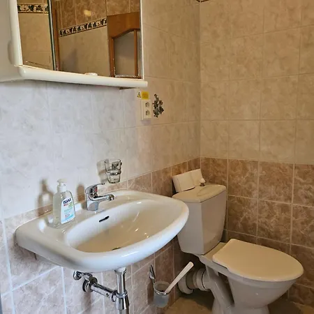 Hotel Brezina 3*