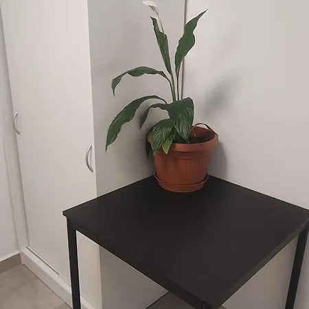 Apartment Vu's Prague