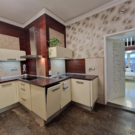 Quiet Spacious With A Balcony Prag