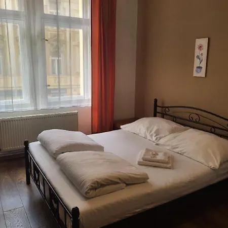 Sunflower Praha