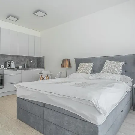 Apartment Karel With Garage Parking *