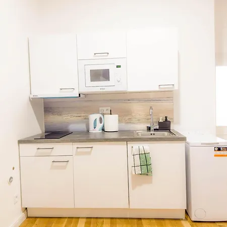 Cozy In 1 Next To Florenc Station Apartment