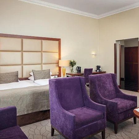 Kosher King David Hotell 5*