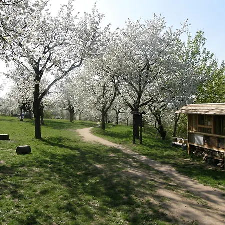 Hostel Toulcuv Dvur