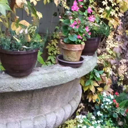 Miraculous Apartment Prague