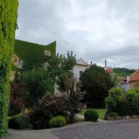 Lovely And Free Parking Homestay