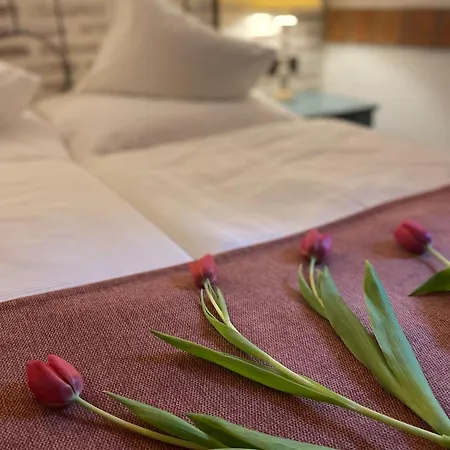 Hotel Romantik U Raka 4*